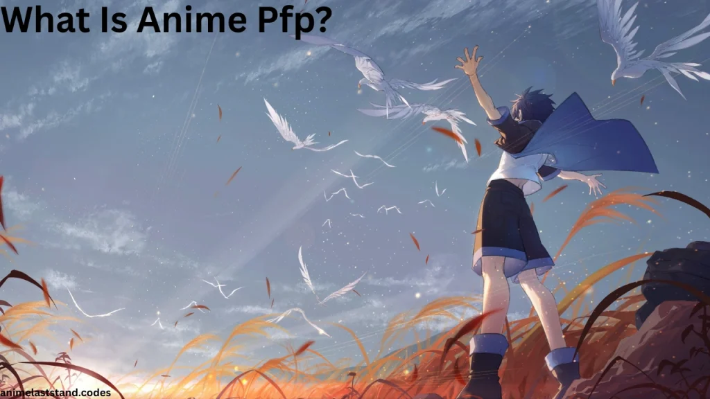 What Is Anime Pfp